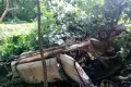 Wrak auta straszy mniej, bo... zasłonięto go krzakami