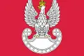 Święto Wojska Polskiego w Bogatyni