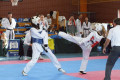 Trwają 33 Mistrzostwa Polski Senior&oacute;w w Taekwondo