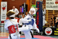 Mistrzostwa Polski Senior&oacute;w w Taekwondo: medal został w Bolesławcu