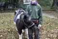 Z okazji Święta Niepodległości w Naszym Zoo...