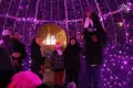 Tłumy na „odpaleniu” miejskiej iluminacji