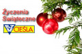 Firma BZM Cieśla życzy Państwu Wesołych Świąt