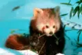 Zimą w Naszym Zoo też jest pięknie!