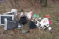 Zielony skarb miasta nie może być wysypiskiem!