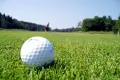 Drugi Piknik Golfowy