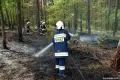 Pożar lasu w Leśnictwie Ziębina