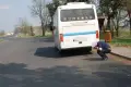 Trwają kontrole autobusów