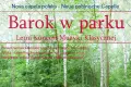 Nova Capela Polska: Barok w parku