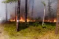 Forest Fire near Ławszowa