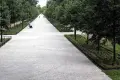 W parku zasadzono 60 tysięcy roślin