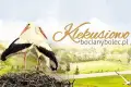 III Zlot Bocianolubów już 25 lipca w Tomaszowie Bolesławieckim