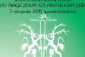 Bezpłatna wycieczka po Magicznym Szlaku Ducha Gór