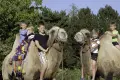 Nasze Zoo na Jakubach!