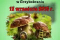 Międzynarodowe Mistrzostwa Szklarskiej Poręby w Grzybobraniu