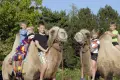 Renciści w rozmiarze XXL w Naszym Zoo