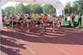 Wspaniały Bieg Lwa Legnickiego