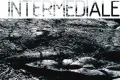 Intermediale – muzyczne atrakcje na weekend