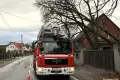 Silny wiatr powalił drzewo. Strażacy z OSP Ruszów interweniowali