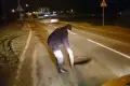 Otwarta studzienka kanalizacyjna. Mogła stać się przyczyną wypadku
