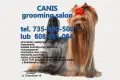 Zadbaj o swojego pieska w CANIS grooming salon