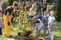Aleja magnolii powstała przy bolesławieckiej „Budowlance”