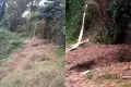 Dziura po beczce z kwasem na stadionie przy ulicy Rajskiej