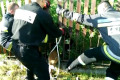Uratowali sarnę, kt&oacute;ra utknęła w ogrodzeniu