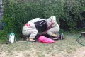Szerszenie na działce letników z powiatu bolesławieckiego