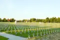 60 tys. zł dotacji na remont cmentarza wojskowego
