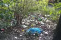 Notorycznie syfią w lasku między Cieszkowskiego a Staszica