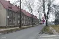 Mają bardzo ciemno w mieszkaniu. Powód? Drzewa