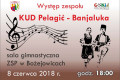 Występ zespołu PELAGIĆ z Bośni w Bożejowicach