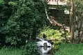 Osieczów: auto spadło z mostu i wpadło do wody. Jedna osoba ranna