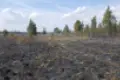 10 hektarów nieużytków spaliło się w Wykrotach