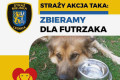 Straż Miejska organizuje zbi&oacute;rkę karmy mokrej dla bezdomnych piesk&oacute;w