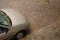 Kierowco, zabezpiecz swoje auto na jesień!