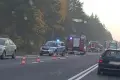 Trzy kolizje z tym samym jeleniem na drodze między Trzebieniem a Golnicami
