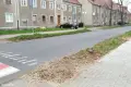 Usunęli niebezpieczne drzewa na Dolnych Młynach