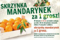 W Intermarche skrzynka zdrowych mandarynek za 1 grosz