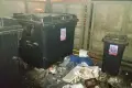 Bolesławianie syfią na potęgę? Makabra na Dzieci Wrześni i w Rynku