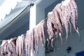 Zmiany w VAT. Wózki i smoczki będą tańsze, ośmiorniczki – droższe