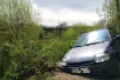 Renault na bobrowej ścieżce