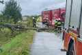 Wichura siała spustoszenie w całym powiecie