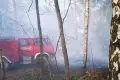 Pożar lasu przy autostradzie