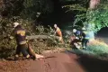 Wichura w powiecie. Nocna akcja strażaków w Parkoszowie