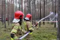 Strażacy w Borach Dolnośląskich. W ćwiczeniach brało udział niemal 110 osób