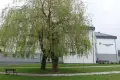 Rozbudują Dom Pomocy Społecznej w Bolesławcu
