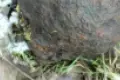 Kolejna akcja saperów. Uwaga na bomby przypominające gaśnice!