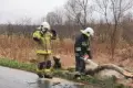 Akcja straży pożarnej między Gromadką a Modłą